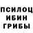 Псилоцибиновые грибы ЛСД Natusichkaa Evgenevna