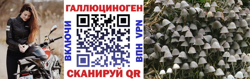 Галлюциногенные грибы мицелий  Новое Девяткино 