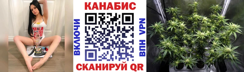 Канабис план Новое Девяткино